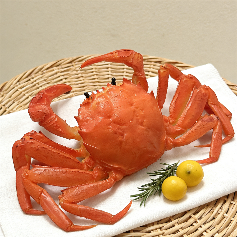 15cm Plastic Red Cooked Blue C - Home Cooking Shows recensie en prijs