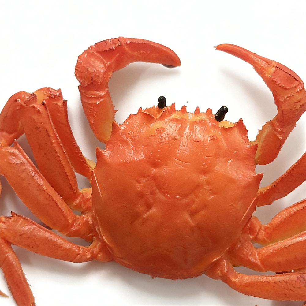 15cm Plastic Red Cooked Blue C - Home Cooking Shows recensie en prijs
