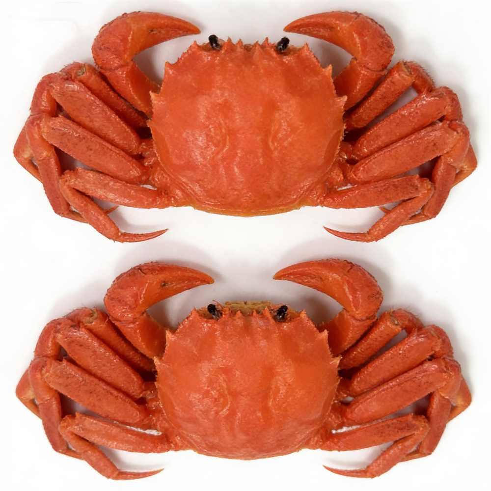 15cm Plastic Red Cooked Blue C - Home Cooking Shows recensie en prijs