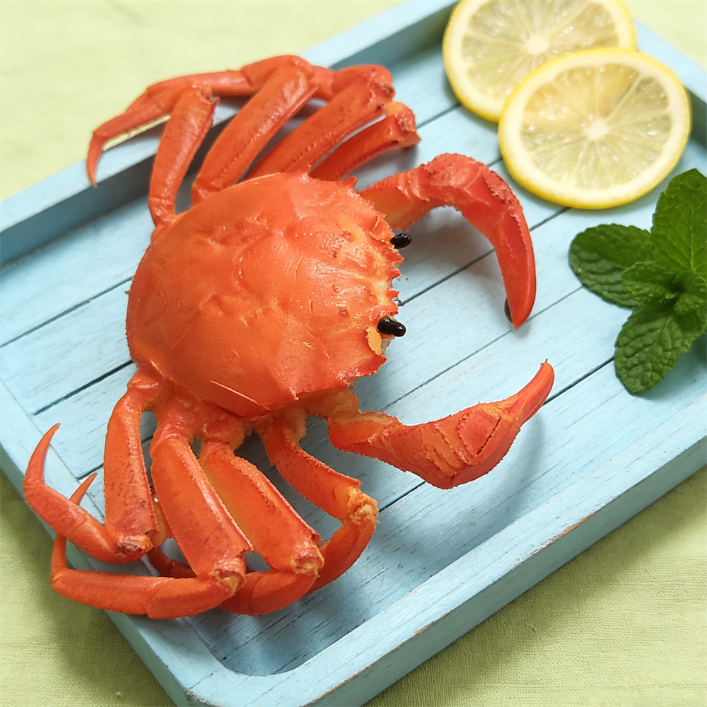 15cm Plastic Red Cooked Blue C - Home Cooking Shows recensie en prijs